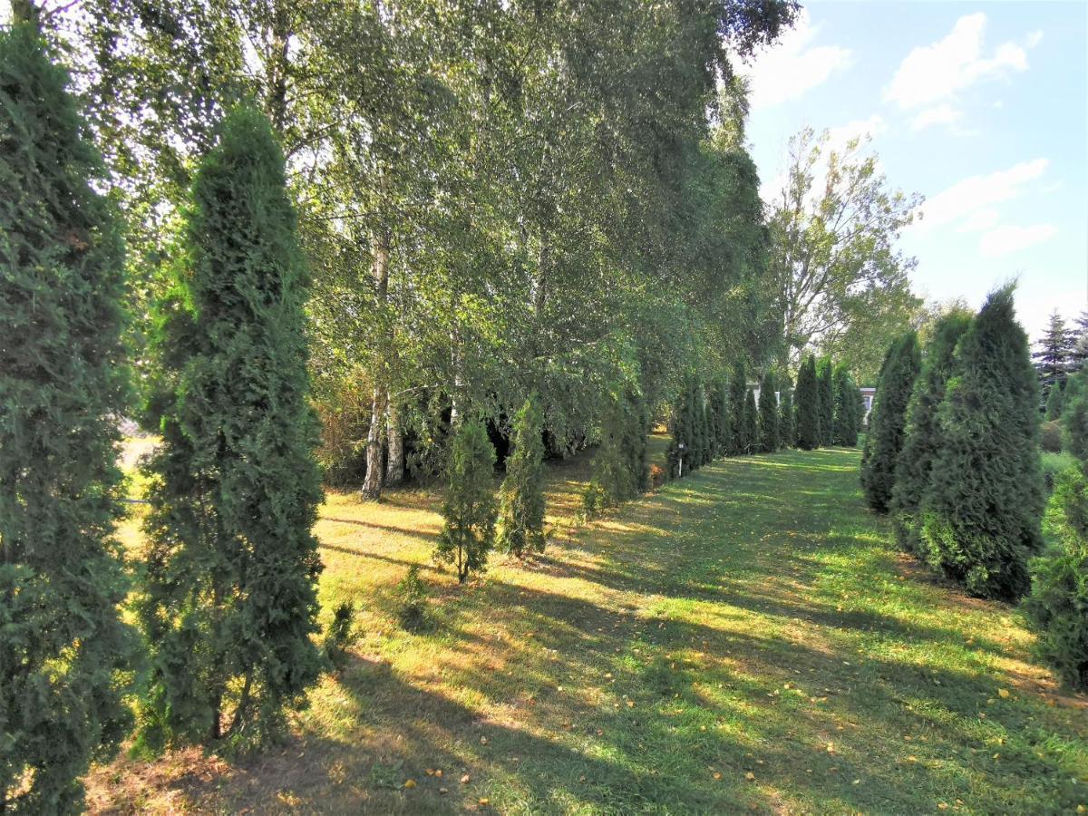 Brzozowe Zacisze Vila Łagów Exterior foto